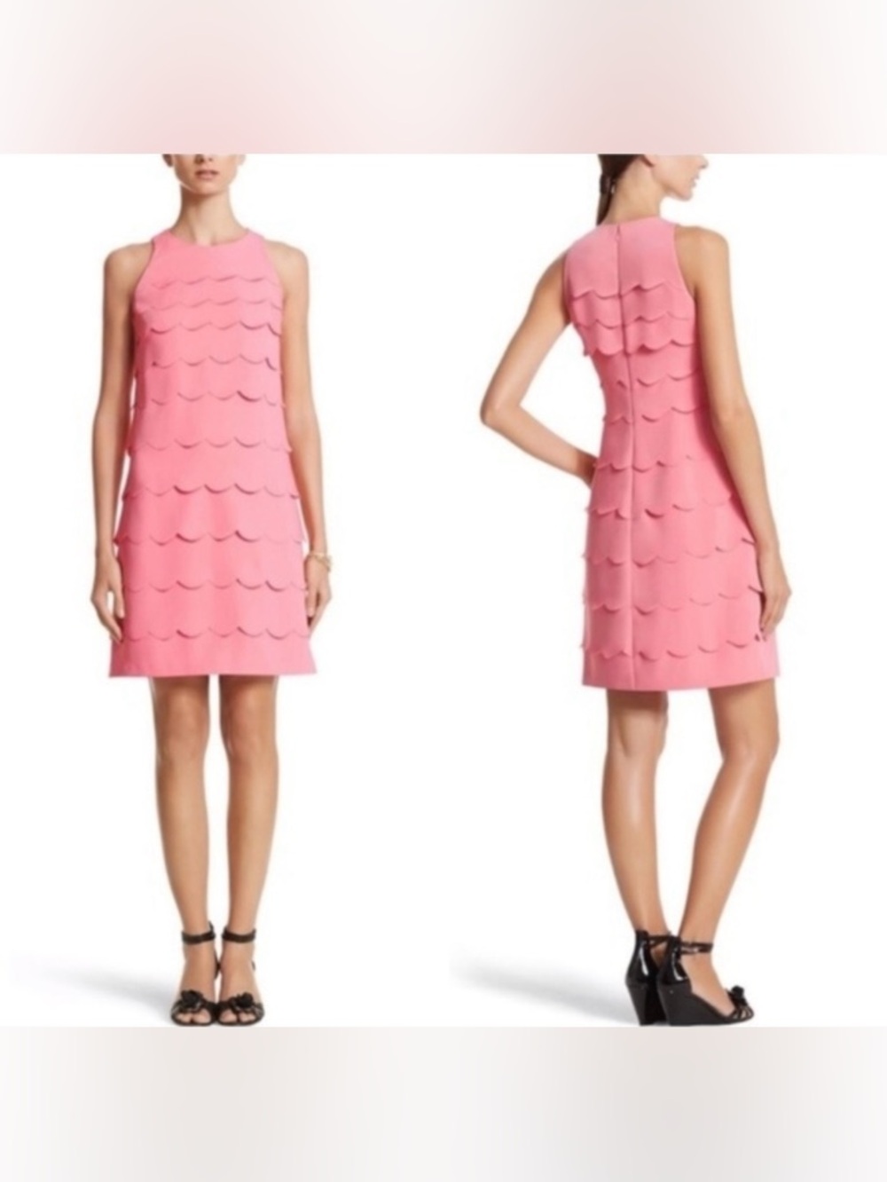White House Black Market Pink Scallop Shift Dress Size 14